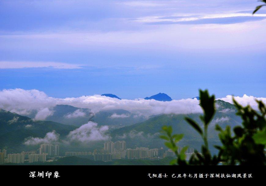涌金楼丨增长超预期！浙江消费引擎显“三变”