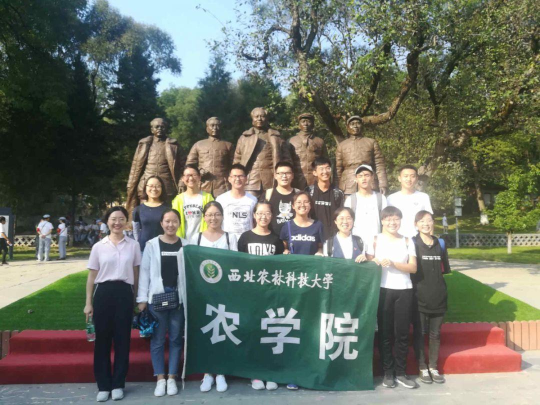 寻找答案,尽在怎么提高自己的工作效率?